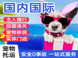 鞍山机场物流国际宠物托运 【国